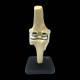 Bone Models™ 390301 Bone Shade Knee Model with Generic Implant, Back View