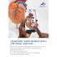 3B Smart Anatomy Features