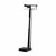 450 Series Health o Meter Mechanical Beam Scale with Height Rod, Rotating Poise Bar