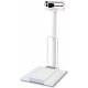 Mechanical Stationary Wheelchair Scale