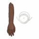 Training Bridge 500-3210 Advanced IV Arm Kit, Male - Medium Skin Tone (Replacement Skin and Tubing)