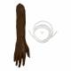 Training Bridge 500-3320 Advanced IV Arm Kit, Female - Dark Skin Tone (Replacement Skin and Tubing)