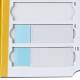 Globe Scientific 513025Y 20-Place Cardboard Microscope Slide Mailer, Yellow - Zoomed in with Slides (Microscope Slides are Sold Separately)