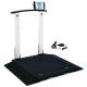 Detecto 6560-AC Folding Portable Digital Wheelchair Scale with Handrail and AC Adapter