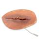 Life/form Moulage Wound - Laceration, 12 cm Simulator