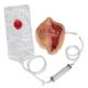 Life/form Moulage Wound - Exposed Denture Avulsion Simulator