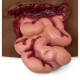 Life/form Moulage Wound - Abdominal Wound - Dark Simulator