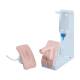 3B Scientific 8000869 Essential Nursing Lab Set, Catheterization Simulator Basic Set - Male and Female