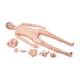 3B Scientific 8000873 Nursing Plus Set, Patient Care Manikin PRO