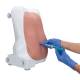 3B Scientific 8000874 Anesthesiology Lab Set, Epidural and Spinal Injection Trainer