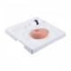 3B Scientific 8000875 Breast Examination Set, SONOtrain Breast with Cysts Model