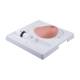 3B Scientific 8000875 Breast Examination Set, SONOtrain Breast Model with Tumors Model