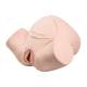 3B Scientific 8000877 Obstetrics Lab Basic Set, Birthing Simulator Basic Trainer