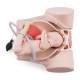 3B Scientific 8000878 Obstetrics Lab Pro Set, Birthing Simulator PRO Trainer - Open Womb with Fetal Model