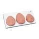 3B Scientific 8000879 Gynecology Lab Set, SKINlikeâ„¢ 3-Piece Breast Self-Examination Model on Base