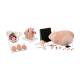 3B Scientific 8000879 Gynecology Lab Set