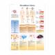 3B Scientific 8000882 Wound Care PRO Set, Decubitus Ulcers Chart
