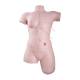 3B Scientific 8000882 Wound Care PRO Set, Wound Care and Bandaging Technique Trainer