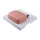 3B Scientific 8000884 Gallbladder Set, SONOtrain Gallbladder Model