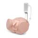 3B Scientific 8000894 Catheterization PRO Kit - Male, Catheterization Model