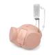 3B Scientific 8000895 Catheterization PRO Kit - Female, Catheterization Model