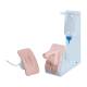 3B Scientific 8000896 Dual Sex Catheterization Basic Set, Catheterization Set