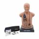 3B Scientific 8000995 Auscultation Training Set, SAM Basic® Adult Auscultation Manikin with SimScope® Training Stethoscope