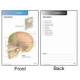 Anatomy Flash Cards