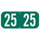 Arden Labels A1287-25-T3 Tab 1287 Compatible A1287 Series 2025 Year Labels - Size 1/2" H x 1 1/8" W