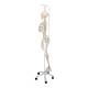 3B Scientific A15 Phil the Physiological Flexible Skeleton on Hanging Roller Stand - 3B Smart Anatomy