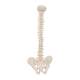 3B Scientific A18-20 Mini Vertebral Column - Flexible - No Stand - 3B Smart Anatomy