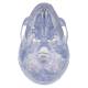 3B Scientific A20-T Classic Human Skull - Transparent (3-Part) - 3B Smart Anatomy