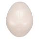 3B Scientific A20 Classic Human Skull (3-Part) - 3B Smart Anatomy