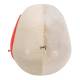 3B Scientific A282 BONElike Human Skull - Half Transparent & Half Bony (8-Part) - 3B Smart Anatomy