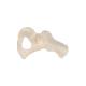 3B Scientific A35-5 Hip Bone Model - 3B Smart Anatomy