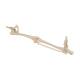 3B Scientific A36 Human Leg Skeleton Model with Hip Bone - 3B Smart Anatomy