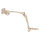 3B Scientific A36 Human Leg Skeleton Model with Hip Bone - 3B Smart Anatomy