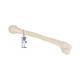 3B Scientific A45-1 Human Humerus Bone - 3B Smart Anatomy