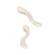 3B Scientific A45-5 Human Clavicle Bone - 3B Smart Anatomy