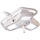 AIM-50 Dual Ceiling Procedure Light