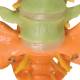 3B Scientific A58-9 Didactic Flexible Spine Model With Femur Heads - 3B Smart Anatomy