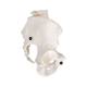 3B Scientific A61 Female Pelvic Skeleton - 3B Smart Anatomy