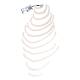 3B Scientific A69-2 12 Ribs of One Side Model - 3B Smart Anatomy