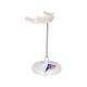 3B Scientific A71-9 Hyoid Bone on Stand - 3B Smart Anatomy