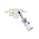 3B Scientific A71 Atlas and Axis (Without Stand) - 3B Smart Anatomy