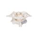 3B Scientific A71 Atlas and Axis (Without Stand) - 3B Smart Anatomy