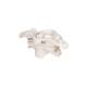 3B Scientific A71 Atlas and Axis (Without Stand) - 3B Smart Anatomy