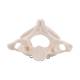 3B Scientific A71 Atlas and Axis (Without Stand) - 3B Smart Anatomy