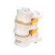 3B Scientific A76/8 Three Lumbar Vertebrae Flexibly Mounted - 3B Smart Anatomy