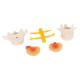 3B Scientific A76 Lumbar Vertebrae Teaching Model - 3B Smart Anatomy